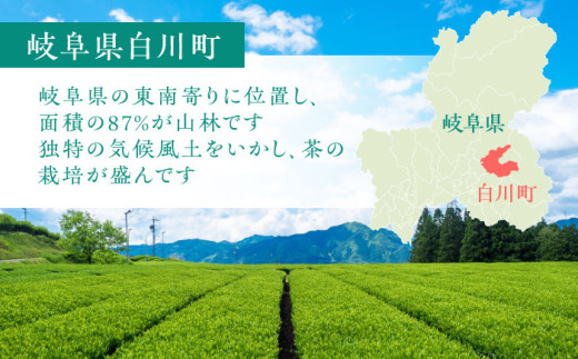 シャワークライミング参加券 アクティビティ チケット 岐阜 白川町