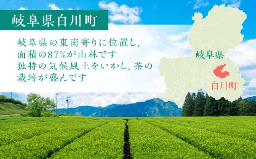 岐阜県白川町のふるさと納税 ますぶち園の白川茶 5袋詰め合わせ 100g×5袋 / お茶 白川茶 茶葉 / 白川町 / 株式会社ますぶち園 [AWAC002]