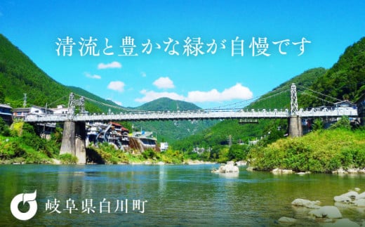 岐阜県白川町のふるさと納税 ますぶち園の白川茶 5袋詰め合わせ 100g×5袋 / お茶 白川茶 茶葉 / 白川町 / 株式会社ますぶち園 [AWAC002]