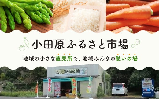 大分県豊後高田市のふるさと納税 グリーンアスパラガス（800g）【7月～9月配送】