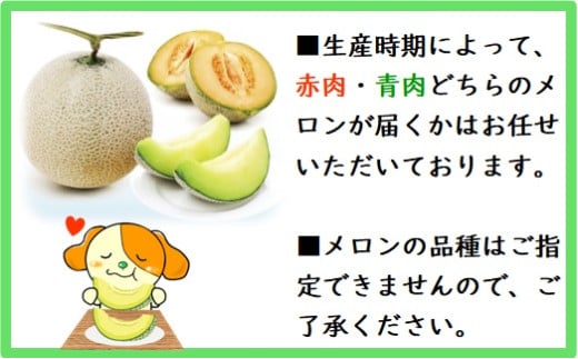 山形県三川町のふるさと納税 ★先行予約★【令和7年産】成澤さんの厳選！【2玉入】高糖度大玉メロン ※令和7年6月中下旬より発送開始予定