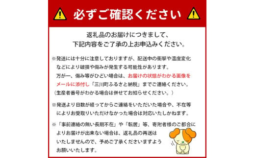 山形県三川町のふるさと納税 ★先行予約★【令和7年産】成澤さんのアンデスメロン（5kg箱満杯詰め）※青肉メロン　※令和7年6月中下旬より発送開始予定