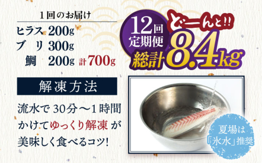 平戸市 鮮魚 ブロック 3種 計約9.6kg （約800g/回）百旬館 