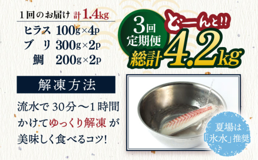 平戸市 鮮 魚 ブロック 3種 計約4.2kg （約1.4kg/回）百旬館 