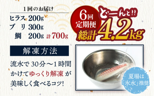 平戸市 鮮魚 ブロック 3種 計約4.8kg （約800g/回）百旬館 