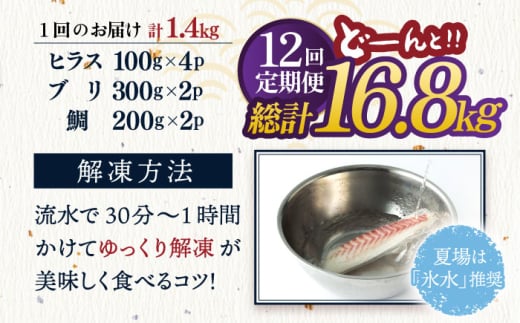 平戸市 鮮魚 ブロック 3種 計約16.8kg （約1.4kg/回）百旬館 