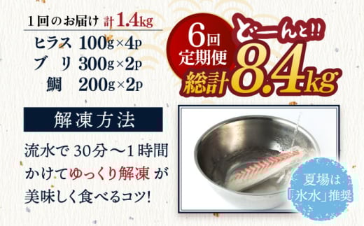 平戸市 鮮魚 ブロック 3種 計約8.4kg（約1.4kg/回）百旬館 