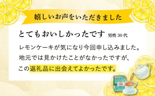 カステラ レモンケーキ レモン ケーキ 茶菓子 菓子 贅沢 ご褒美 長崎 長崎県 文明堂 文明堂総本店  0.6号 カット