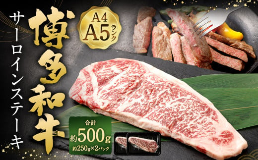 [A4・A5] 博多和牛 サーロインステーキ 約250g✕2パック 計約500g 黒毛和牛 和牛 牛肉