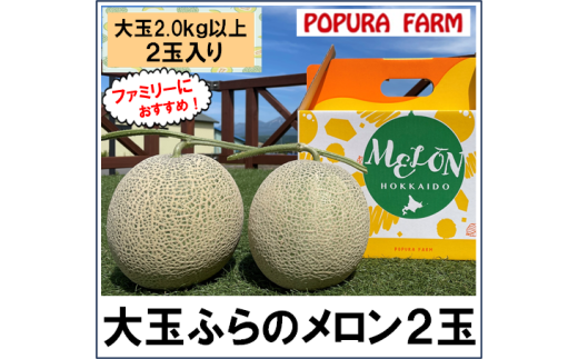 【2025年発送】【ポプラファーム】富良野メロン　大玉2玉（計4kg以上　秀品） 1701760 - 北海道中富良野町