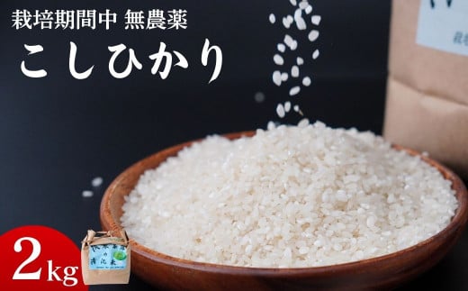 農薬に頼らない栽培 コシヒカリ 2kg ｜ コシヒカリ 自然栽培 農薬に頼らない 栽培期間中 無農薬 寒暖差 限界集落 自然 耕作放棄地