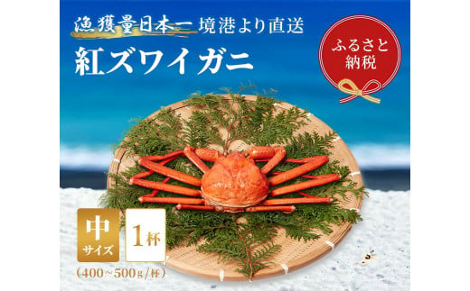 【蟹セレブ】ズワイガニ（紅ズワイガニ）中1杯（400～500g×1） 1698005 - 鳥取県三朝町