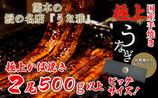 鰻の名店『うな雅』国産手焼き鰻【極上】かば焼き 2尾 500g以上のビッグサイズ！ 秘伝のたれ 山椒 付き !うなぎ 鰻 手焼き 国産 熊本 美里町 熊本県 蒲焼 かば焼き タレ 土用の 丑の日 お取り寄せ グルメ ウナギ たれ 送料無料 特産品 国産 九州 蒲焼 冷凍 鰻丼 鰻重