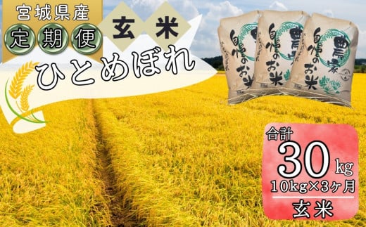 【令和6年産】 【新米】  ひとめぼれ（玄米）合計30kg 10kg 3ヵ月定期便（10kg×3回） 【定期便】宮城県 東松島市 ヒトメボレ 米 玄米 お米 おこめ オンラインワンストップ 自治体マイページ  N 1209474 - 宮城県東松島市