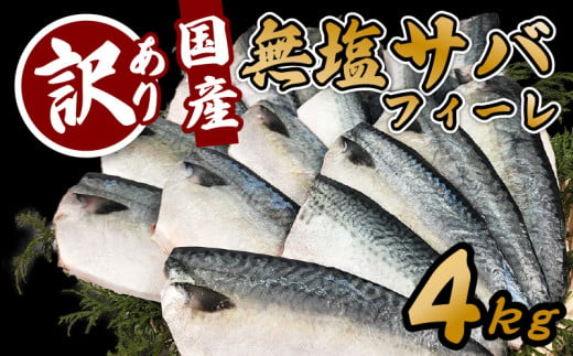 （冷凍） 訳あり サバ 鯖 4kg バラ凍結 無塩 外湾漁業協同組合 国産サバ 国産鯖 無塩鯖 無塩サバ さば 簡単 保存 調理 焼き 簡易包装 わけあり 訳アリ 訳あり品 魚 魚介 海鮮 BBQ 加工品 国産 三重 南伊勢町 伊勢志摩 1711331 - 三重県南伊勢町