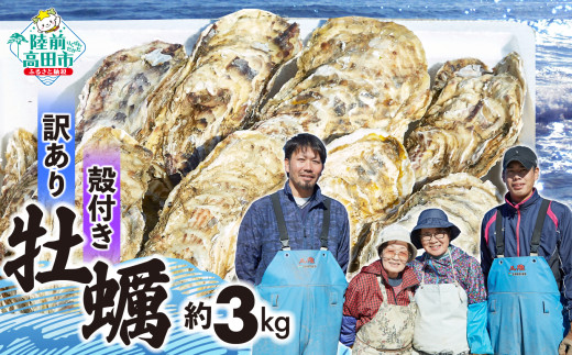 【2月前半発送】先行予約 訳あり 殻付き牡蠣 生食用 約3kg 【 牡蠣 かき カキ 殻付き 生食 数量限定 国産 三陸産 広田湾 小友 大和水産 】RT2626  1582016 - 岩手県陸前高田市