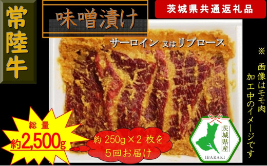 【5か月定期便】【常陸牛】常陸牛の味噌漬け（サーロイン又はリブロース）約500g【定期便】計5回 総量約2,500g（茨城県共通返礼品）【 常陸牛 茨城県 日立市 】