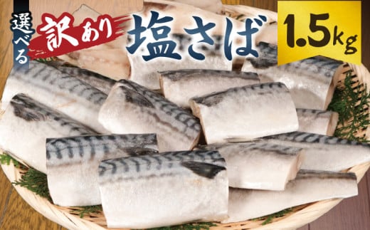 訳あり 塩サバ切身 約1.5kg  ノルウェー産 冷凍 ｻﾊﾞ 鯖 塩サバ 塩鯖 鯖切身 鯖切り身 サバ切身 サバ切り身 切り身 切身 海鮮 魚 大容量 青魚 おかず 惣菜 魚介 おつまみ 弁当 人気 冷凍食品 グルメ 贈答 贈物 ギフト 長期保存 小分け お取り寄せ BBQ 送料無料 ふるさと納税 ふるさと納税サバ 千葉県 銚子市 大一奈村魚問屋