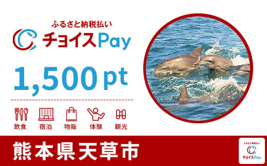 天草市チョイスPay 1,500pt