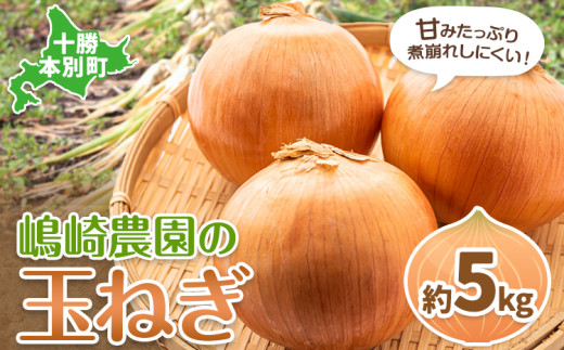 玉ねぎ たまねぎ 玉葱 選べる 約5kg サイズ混合《10月上旬‐2月末から順次出荷》嶋崎農園 送料無料 北海道 本別町 北海道 十勝 本別町産 オニオン カレー サラダ スープ 野菜 1703704 - 北海道本別町