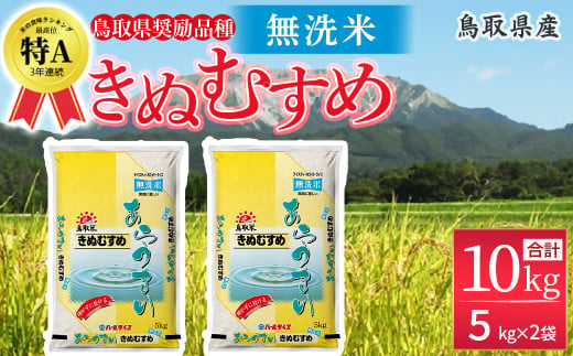 ＜無洗米＞鳥取県産 きぬむすめ （5kg×2袋） パールライス お米 米 こめ コメ 白米 ブランド おいしい 健康 産地直送 米10キロ 無洗米 きぬむすめ 514112 - 鳥取県倉吉市