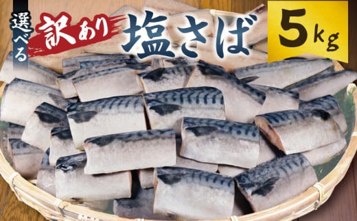 訳あり 塩サバ切身 約5kg ノルウェー産 冷凍 ｻﾊﾞ 鯖 塩サバ 塩鯖 鯖切身 鯖切り身 サバ切身 サバ切り身 切り身 切身 海鮮 魚 大容量 青魚 おかず 惣菜 魚介 おつまみ 弁当 人気 冷凍食品 グルメ 贈答 贈物 ギフト 長期保存 小分け お取り寄せ BBQ 送料無料 ふるさと納税 ふるさと納税サバ 千葉県 銚子市 大一奈村魚問屋