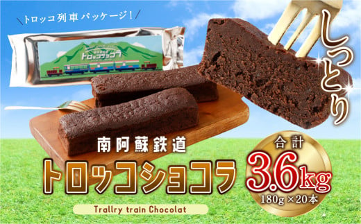 南阿蘇鉄道 トロッコショコラ 20本（約180g×20本）【2025年6月発送】菓子 お菓子 焼き菓子 チョコ風味 ショコラ ガトーショコラ 個包装 小分け 1996544 - 熊本県高森町