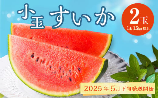 熊本県産 小玉すいか 2玉 スイカ 果物 フルーツ くだもの 西瓜【2025年5月下旬～6月下旬発送予定】 1699177 - 熊本県熊本市