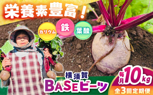 【全3回定期便】横須賀BASEビーツ 10kg（1kg×10袋）【ゆり子ファーム】 [AKCR010] 1529387 - 神奈川県横須賀市