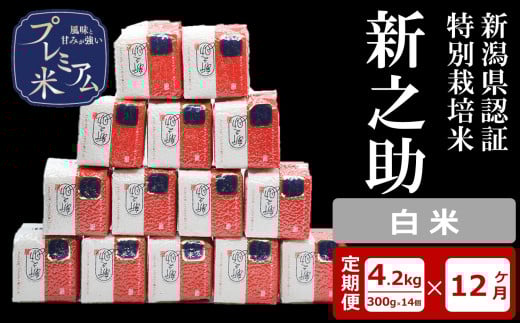 【12ヶ月定期便】甘味の強いプレミアム米 新潟県認証特別栽培米 新之助 白米 真空パック 4.2kg（300g×14個）×12回（計 50.4kg）アグリーホンマ[Y0382]