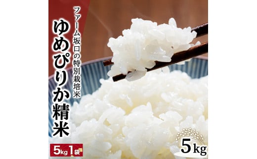 寄附額改定↓ 令和6年産！ファーム坂口の特別栽培米 ゆめぴりか精米 5kg 1720227 - 北海道岩見沢市