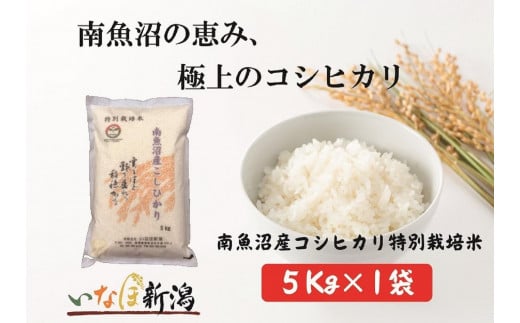 令和6年産 南魚沼産コシヒカリ特別栽培米5kg 1697946 - 新潟県南魚沼市