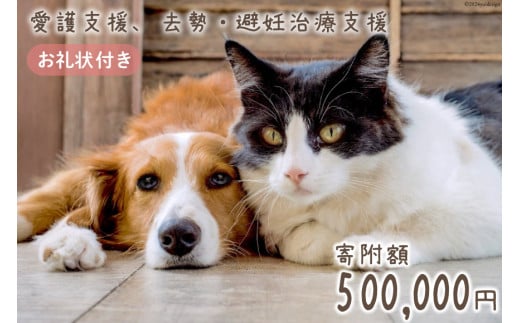 愛護支援 去勢 避妊治療支援 50万円分 [Animal Care Salvation 福岡県 筑紫野市 21760891] 動物 ペット 愛護 TNR 保護 動物福祉 保護施設 里親 犬 猫 イヌ ネコ 動物愛護 1711282 - 福岡県筑紫野市