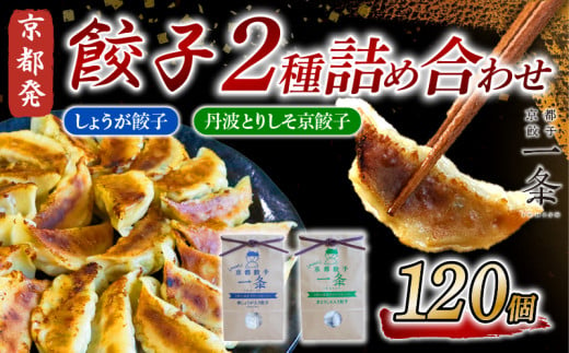 選べる 餃子2種詰め合わせセット しょうが餃子 ＆ 丹波とりしそ京餃子  120個  冷凍 ぎょうざ ギョウザ ギョーザ しょうが 生姜 豚肉 便利 簡単調理 惣菜 絶品 おかず お子様 家族 こだわり餃子 餃子 人気餃子 簡易包装餃子 訳あり餃子 訳アリ 冷凍餃子 冷凍生餃子 京都 井手町 京都餃子一条 【232】 1711323 - 京都府井手町