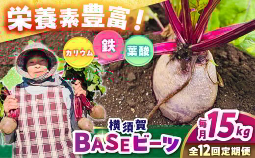 【全12回定期便】横須賀BASEビーツ 15kg（1kg×15袋）【ゆり子ファーム】 [AKCR016] 1529393 - 神奈川県横須賀市