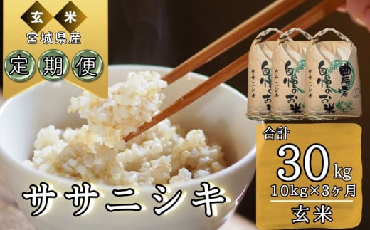 【令和6年産】 【新米】 ササニシキ（玄米）合計30kg 10kg 3ヵ月定期便（10kg×3回） 【定期便】 宮城県 東松島市 オンラインワンストップ 対応 自治体マイページ ささにしき  F 1209238 - 宮城県東松島市