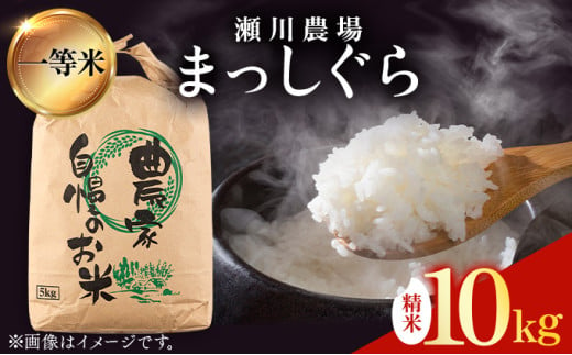 瀬川農場まっしぐら 精米10kg【ご飯 ごはん 米 こめ お米 弁当 精米 一等米 国産米 県産米 ブランド米 おにぎり 国産 青森県 七戸町】【02402-0334】 1720198 - 青森県七戸町