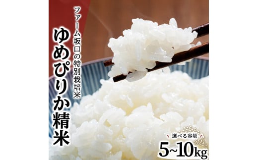 寄附額改定↓ ≪選べる内容量!≫ 令和6年産!ファーム坂口の特別栽培米 ゆめぴりか精米 5kg~10kg