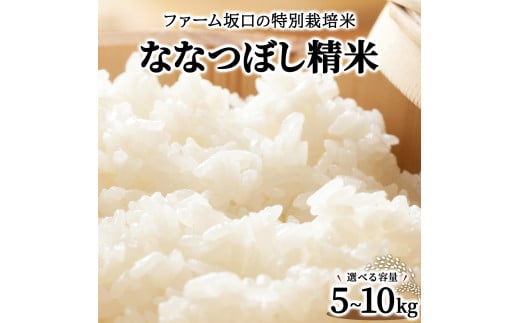 寄附額改定↓ ≪選べる内容量!≫ 令和6年産!ファーム坂口の特別栽培米 ななつぼし精米 5kg~10kg