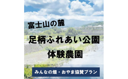 S25足柄ふれあい公園　体験農園　みんなの畑・おやま協賛プラン	 1711332 - 静岡県小山町