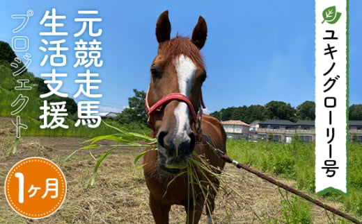 No.376 【ユキノグローリー号】元競走馬生活支援プロジェクト（1ヶ月） ／ 馬 競馬 引退 余生 飼育 治療 管理 支援活動 埼玉県 1723604 - 埼玉県狭山市