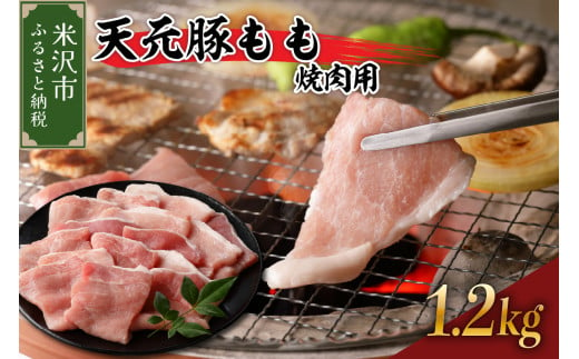 天元豚 もも 焼肉用 1.2kg  （ 300g × 4パック ） ブランド豚 ポーク おかず お取り寄せ 送料無料 山形県 米沢市