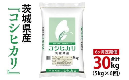 【6ヶ月定期便】令和6年産 茨城県産 コシヒカリ5kg【お米 米 こしひかり ごはん 茨城県】（03-56）