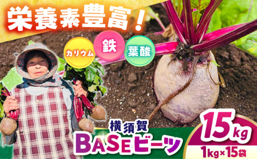 横須賀BASEビーツ 15kg（1kg×15袋）【ゆり子ファーム】 [AKCR013] 1529390 - 神奈川県横須賀市