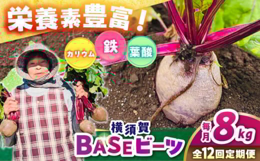 【全12回定期便】横須賀BASEビーツ 8kg（1kg×8袋）【ゆり子ファーム】 [AKCR009] 1529386 - 神奈川県横須賀市