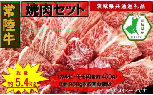 【6か月定期便】【常陸牛】焼肉セット 約900g【定期便】計6回 総量約5,400g（茨城県共通返礼品）【常陸牛　茨城県産　日立市】