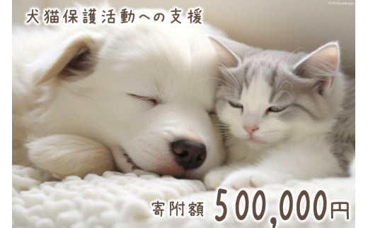 犬猫保護活動への支援 50万円分 [NPO法人セブンデイズ 福岡県 筑紫野市 21760893] 保護 動物 犬 猫 犬猫 保護犬 支援 応援 愛護 1711284 - 福岡県筑紫野市