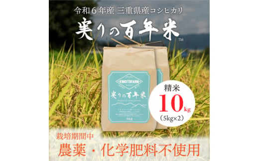 令和6年産 実りの百年米(栽培期間中　農薬・化学肥料不使用) 精米10kg【1452833】 1117360 - 三重県いなべ市