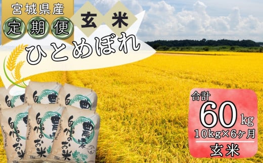 【令和6年産】 【新米】 （玄米）合計60kg 10kg 6ヵ月定期便（10kg×6回） 【定期便】宮城県 東松島市 ヒトメボレ 米 玄米 お米 おこめ オンラインワンストップ 自治体マイページ  O 1209473 - 宮城県東松島市