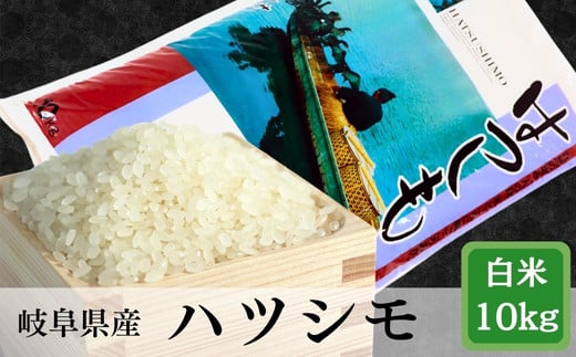 ≪令和6年産≫ 岐阜 ハツシモ 約10kg 427326 - 岐阜県垂井町